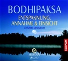 Bodhipaksa - Entspannung, Annahme & Einsicht, 1 Audio-CD (Hörbuch)