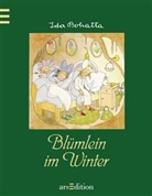 Ida Bohatta-Morpurgo - Blümlein im Winter