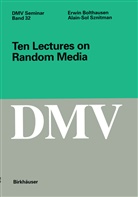 Erwi Bolthausen, Erwin Bolthausen, Alain-Sol Sznitman - Ten Lectures on Random Media