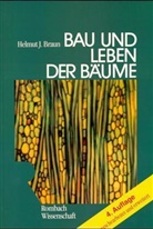 Helmut J. Braun - Bau und Leben der Bäume