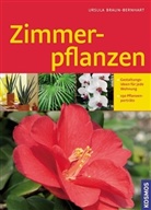 Ursula Braun-Bernhart - Zimmerpflanzen
