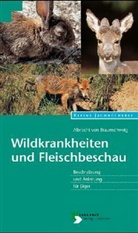 Albrecht von Braunschweig - Wildkrankheiten und Fleischbeschau