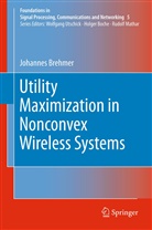Johannes Brehmer - Utility Maximization in Nonconvex Wireless Systems