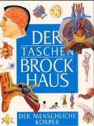 (Brockhaus) Der Taschen Brockhaus, Kt - Bd.10: Der menschliche Körper