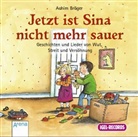 Achim Bröger, Nina Danzeisen - Jetzt ist Sina nicht mehr sauer, 1 Audio-CD (Hörbuch)