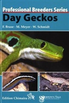 Frank Bruse, Michael Meyer, Wolfgang Schmidt - Day Geckos