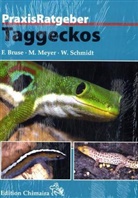 Fran Bruse, Frank Bruse, Michae Meyer, Michael Meyer, Wolfgang Schmidt - Taggeckos