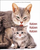 Jane Burton - Katzen Katzen Katzen