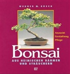 Werner M. Busch - Bonsai aus heimischen Bäumen und Sträuchern