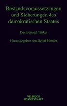 Detlef Horster - Bestandsvoraussetzungen und Sicherungen des demokratischen Staates