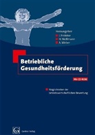 I. Froböse, Ingo Froböse, Andreas Weber, Holger Wellmann - Betriebliche Gesundheitsförderung