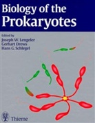 Gerhart Drews, Josef Herausgegeben von: Lengeler, Hans Günther Schlegel - Biology of the Prokaryotes