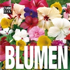 Ovidio Guaita, Valeria Manferto-De Fabianis - Blumen