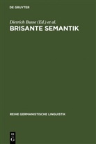 Dietrich Busse, Thoma Niehr, Thomas Niehr, Martin Wengeler - Brisante Sematik