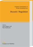 Ulrich Magnus, Peter Mankowski - Brussels I Regulation