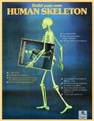 Richard Miller - Build your own human skeleton