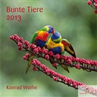 Bunte Tiere, Broschürenkalender 2012