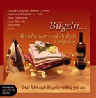 Gudrun Landgrebe - Bügeln . . ., Beziehungen und ähnliche Ereignisse, 1 Audio-CD (Audiolibro)