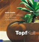 Adam Caplin, Marianne Majerus - TopfKult