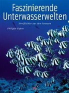 Philippe Capon - Faszinierende Unterwasserwelten
