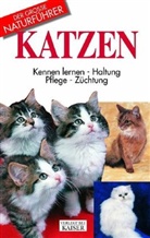 Alexa Capra, Daniele Robotti - Katzen
