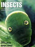 Michael Chinery - Insects