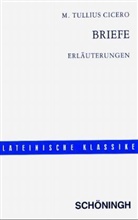 Cicero - Briefe, Erläuterungen