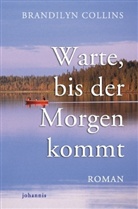 Brandilyn Collins - Warte, bis der Morgen kommt