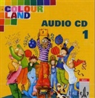 Colour Land, Ausgabe Baden-Württemberg: 2 Audio-CDs, 1. Schuljahr (Audio book)