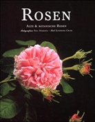 Eleonore Cruse, Paul Starosta - Rosen