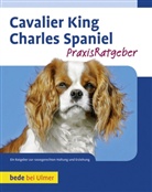 Juliette Cunliffe - Cavalier King Charles Spaniel