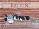 Cats, Postkartenbuch
