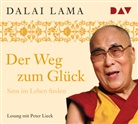 Dalai Lama, XIV Dalai Lama, XIV. Dalai Lama, Dalai Lama XIV, Dalai Lama XIV., Lieck... - Der Weg zum Glück. Sinn im Leben finden, 2 Audio-CDs (Audiolibro)