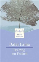 Dalai Lama XIV. - Der Weg zur Freiheit