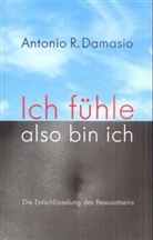 Antonio R. Damasio - Ich fühle, also bin ich