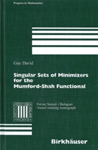 Guy David - Singular Sets of Minimizers for the Mumford-Shah Functional