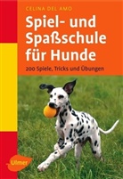 Celina del Amo, Celina DelAmo - Spiel- und Spaßschule für Hunde