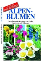 Maria T. DellaBeffa - Alpenblumen