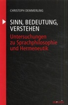 Christoph Demmerling - Sinn, Bedeutung und Verstehen