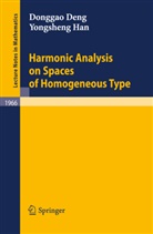 Dongga Deng, Donggao Deng, Dong-Gao Deng, Yongsheng Han - Harmonic Analysis on Spaces of Homogeneous Type