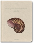Antoine-Joseph Dezallier d' Argenville - Shells 2010