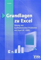Holger Dickgießer - Grundlagen zu Excel, m. CD-ROM