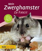Petra Dietz, Judy Fox, Eva-Grit Schneider - Mein Zwerghamster zu Hause