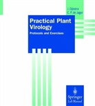 Jeanne Dijkstra, Cees P. de Jager - Practical Plant Virology