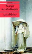 Assia Djebar, Assia Djebar - Weit ist mein Gefängnis