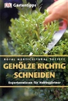 Linden Hawthorne - DK Gartentipps: Gehölze richtig schneiden