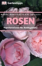 Linden Hawthorne - DK Gartentipps: Rosen