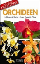 Manfred Döpper, Wolfgang Unterlercher - Orchideen in Haus und Garten