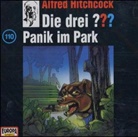 Oliver Rohrbeck, Jens Wawrczeck - Die drei Fragezeichen und . . ., CD-Audio - Bd.110: Die drei Fragezeichen - Panik im Park, 1 Audio-CD (Audio book)