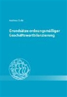 Andreas Duhr, Jens Wüstemann - Grundsätze ordnungsgemäßer Geschäftswertbilanzierung
